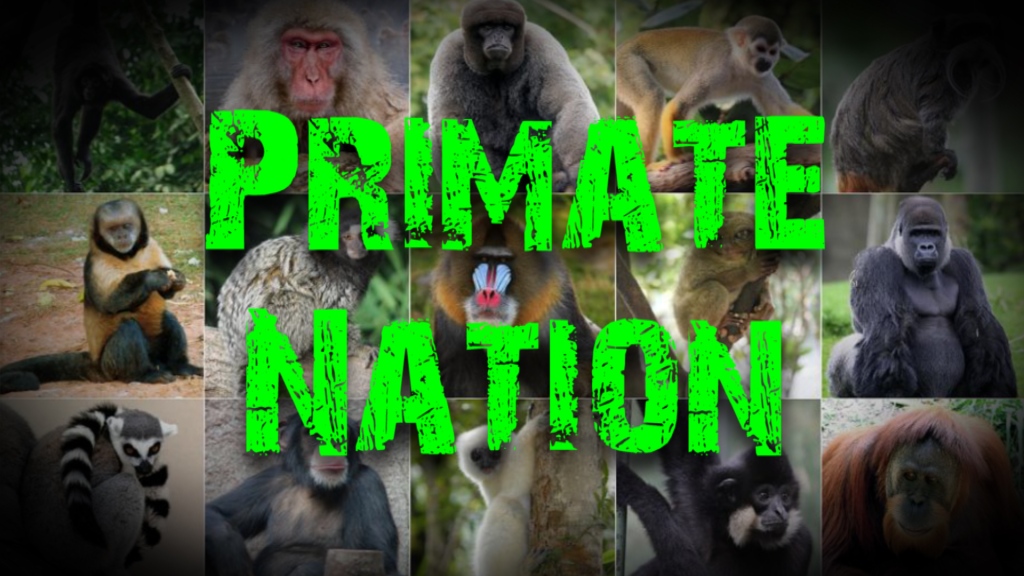 Primate Nation